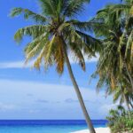 DATE 2025 reafirma liderazgo del turismo dominicano