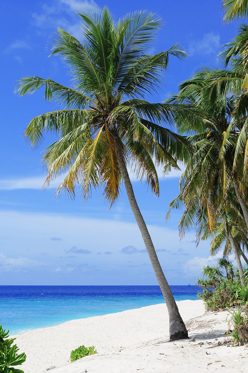 DATE 2025 reafirma liderazgo del turismo dominicano