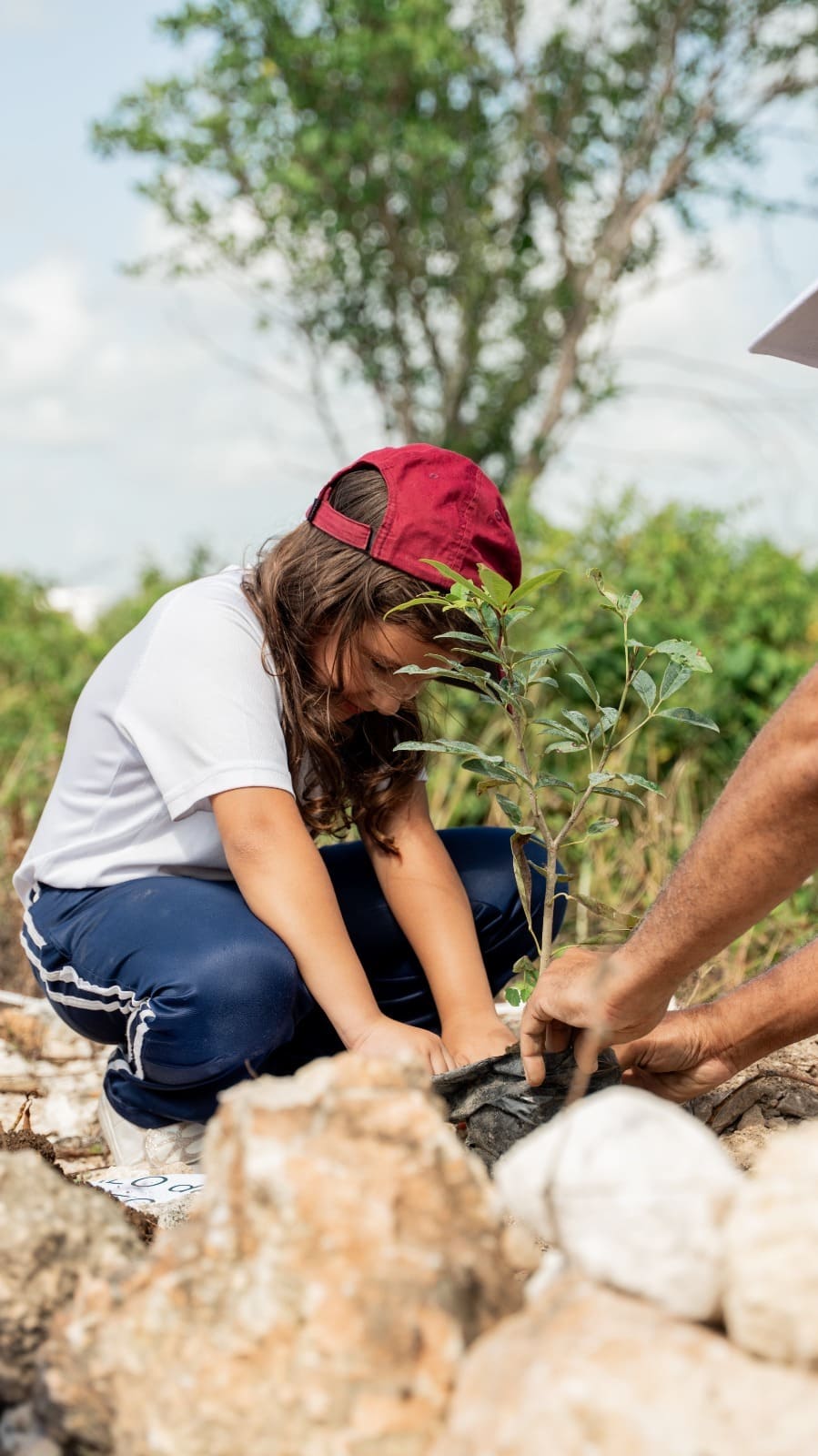 Fundación Paseo del Sendero y Hope Academy siembran árboles