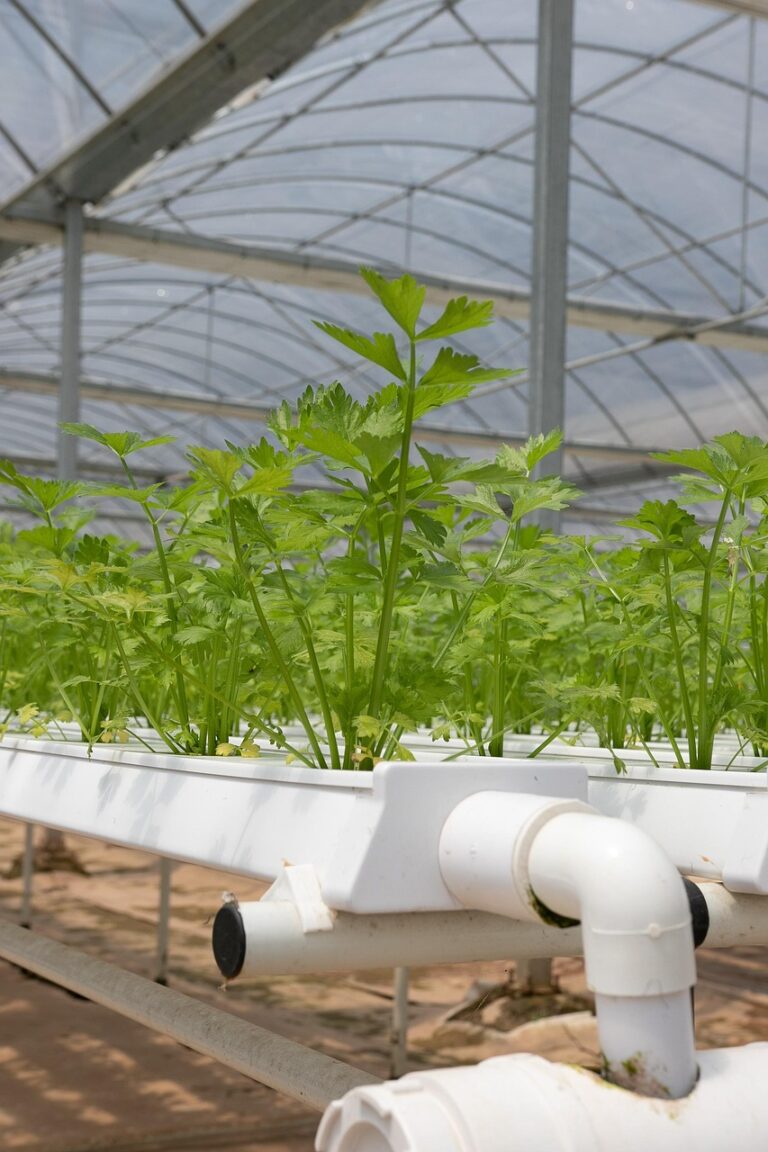 Innovaciones al servicio del planeta
