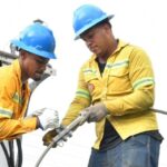 Edeste descargará Circuito EBRI05