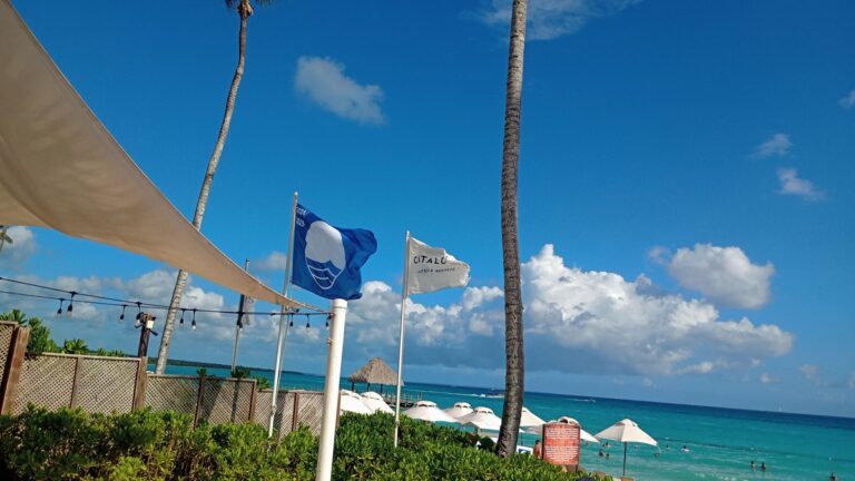 Playa Dominicus deslumbra con Bandera Azul