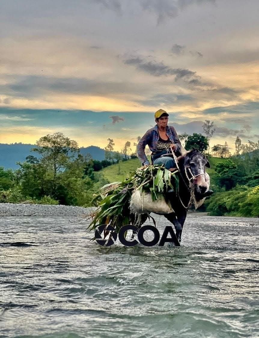 Premian a ganadores del concurso Fotografía Ocoa 2025